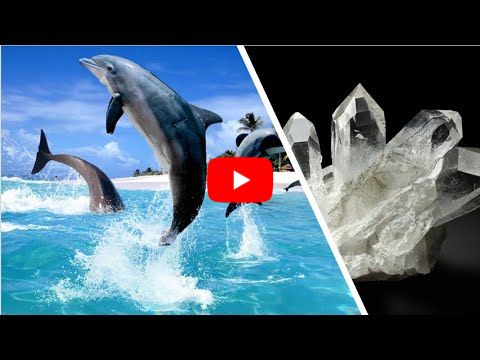 MEDITACIÓN DE SANACIÓN CON DELFINES Y CRISTALES