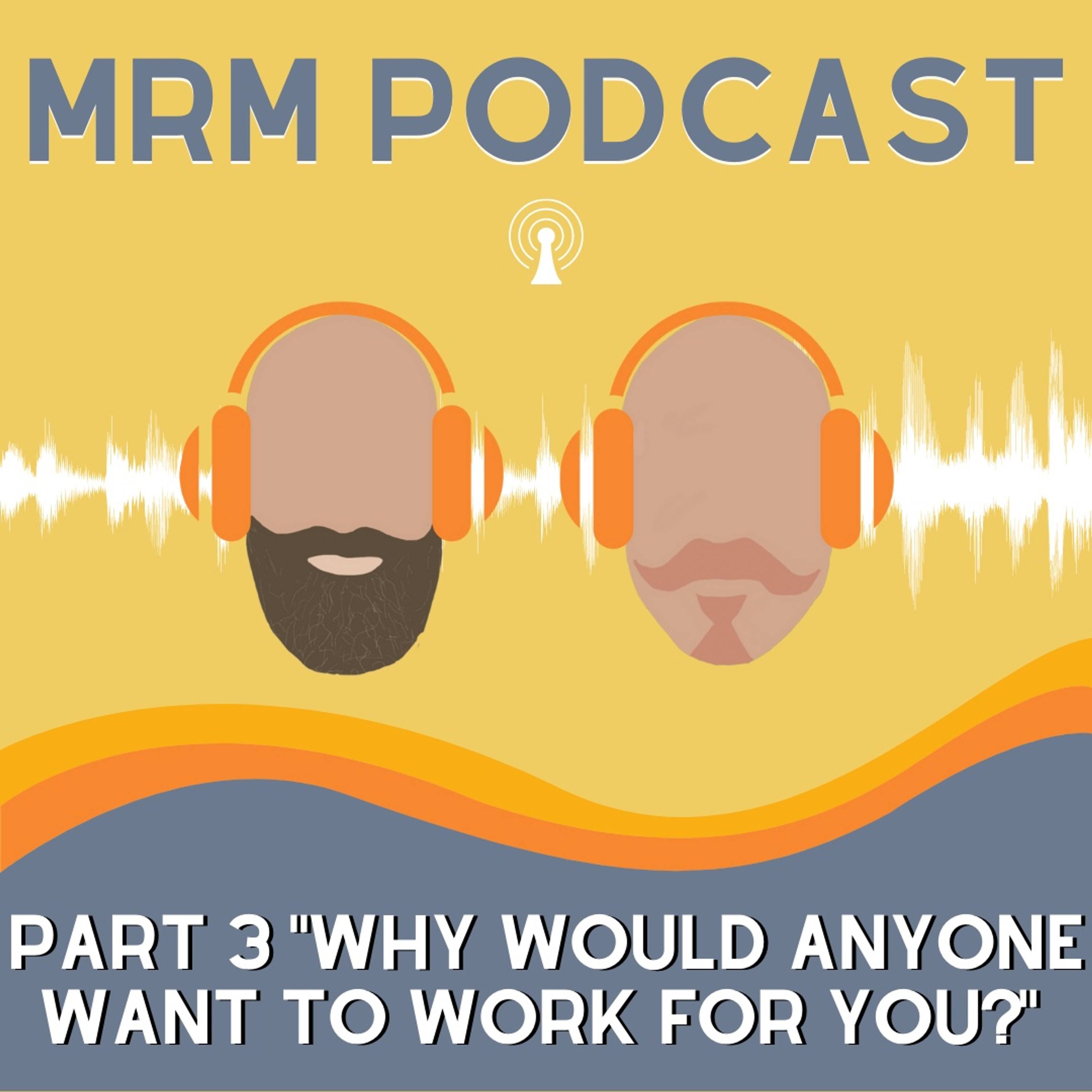 Ep 7 - Part 3 Why Would Anyone Want To Work For You episode artwork