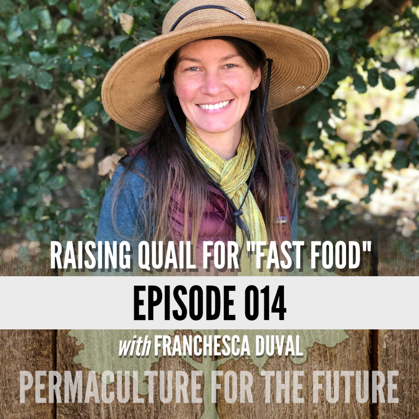 Quail for Quick Protein: A Permaculture Perspective