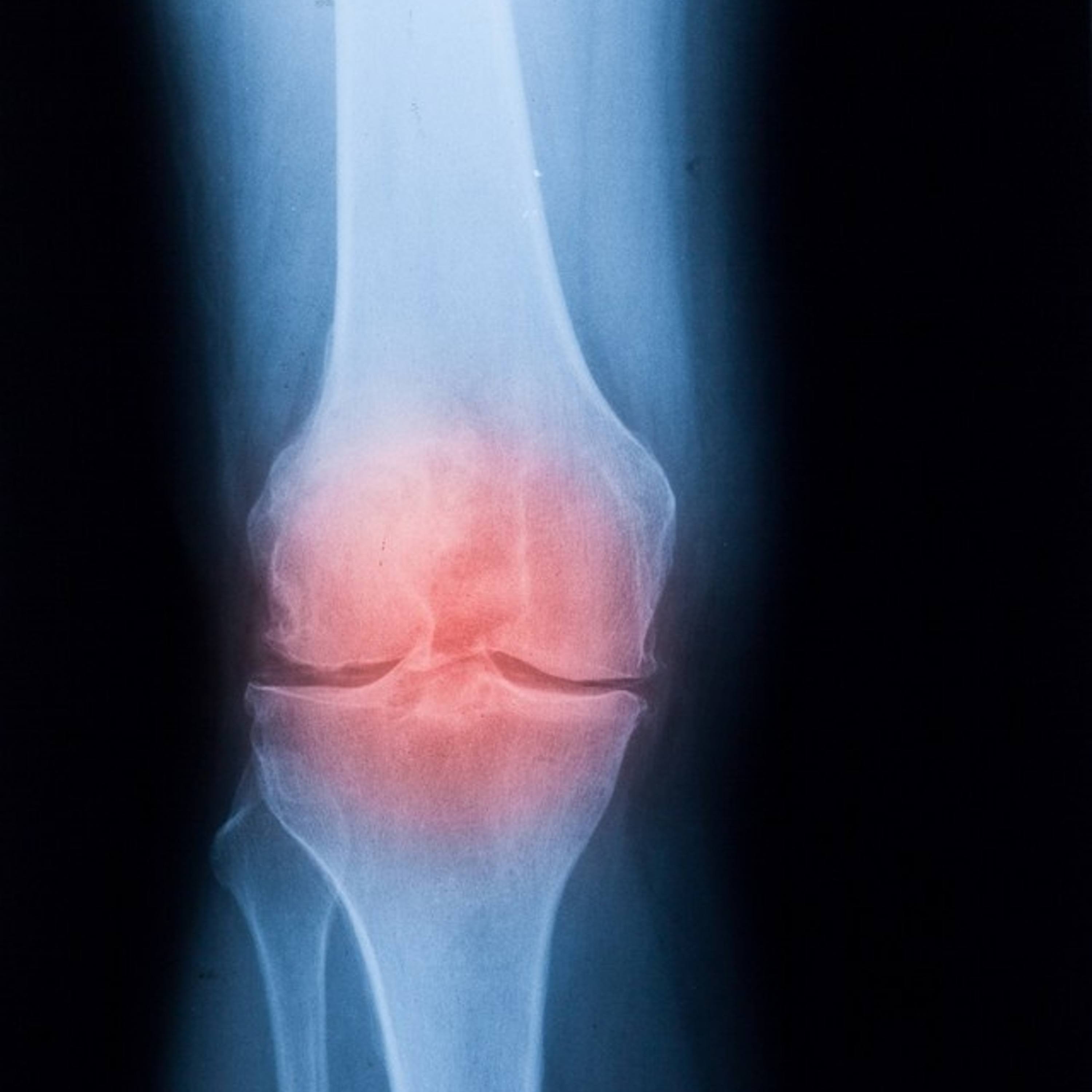 The Food Factor Podcast