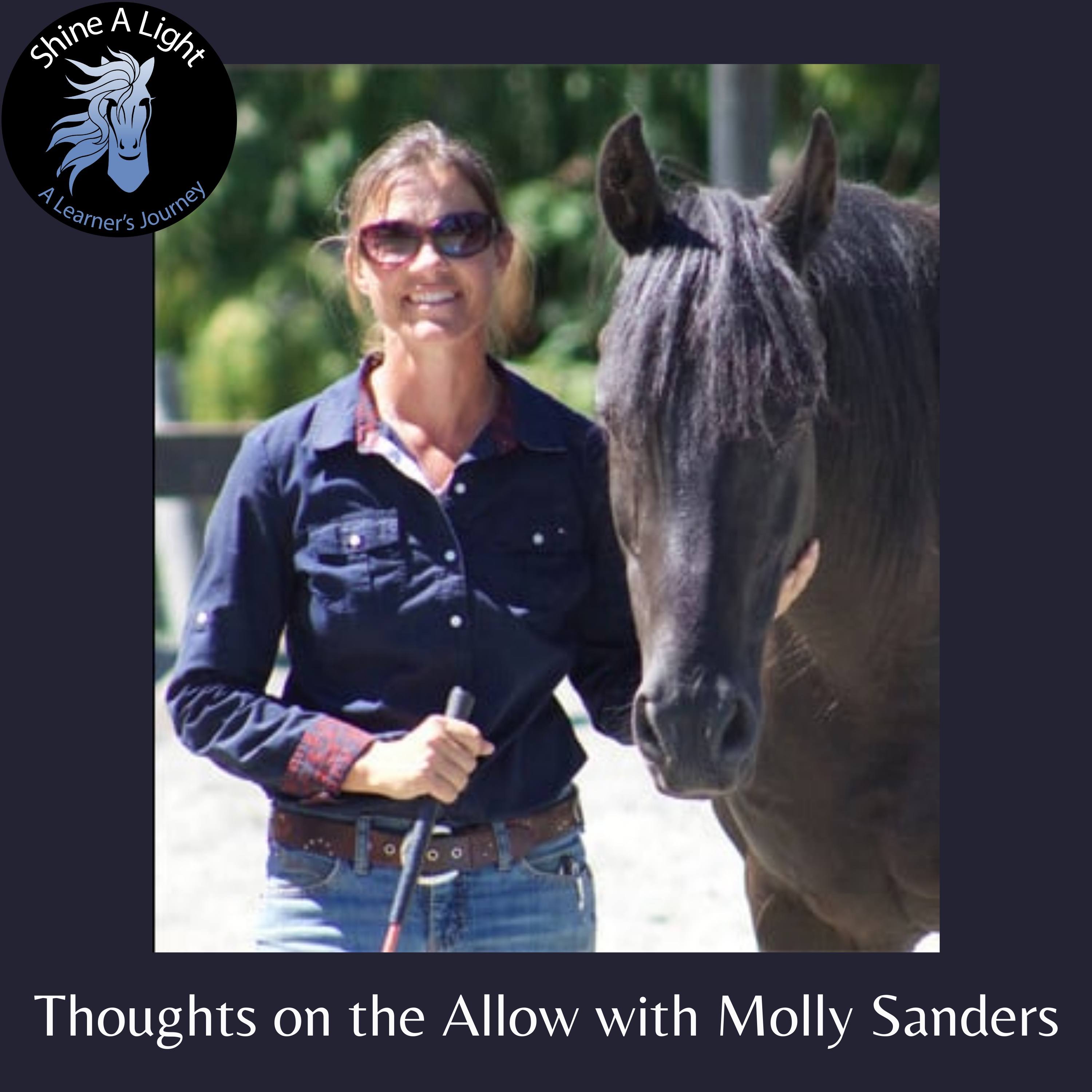 The Allow: How it Can Transform Our Horsemanship and Our Lives episode artwork