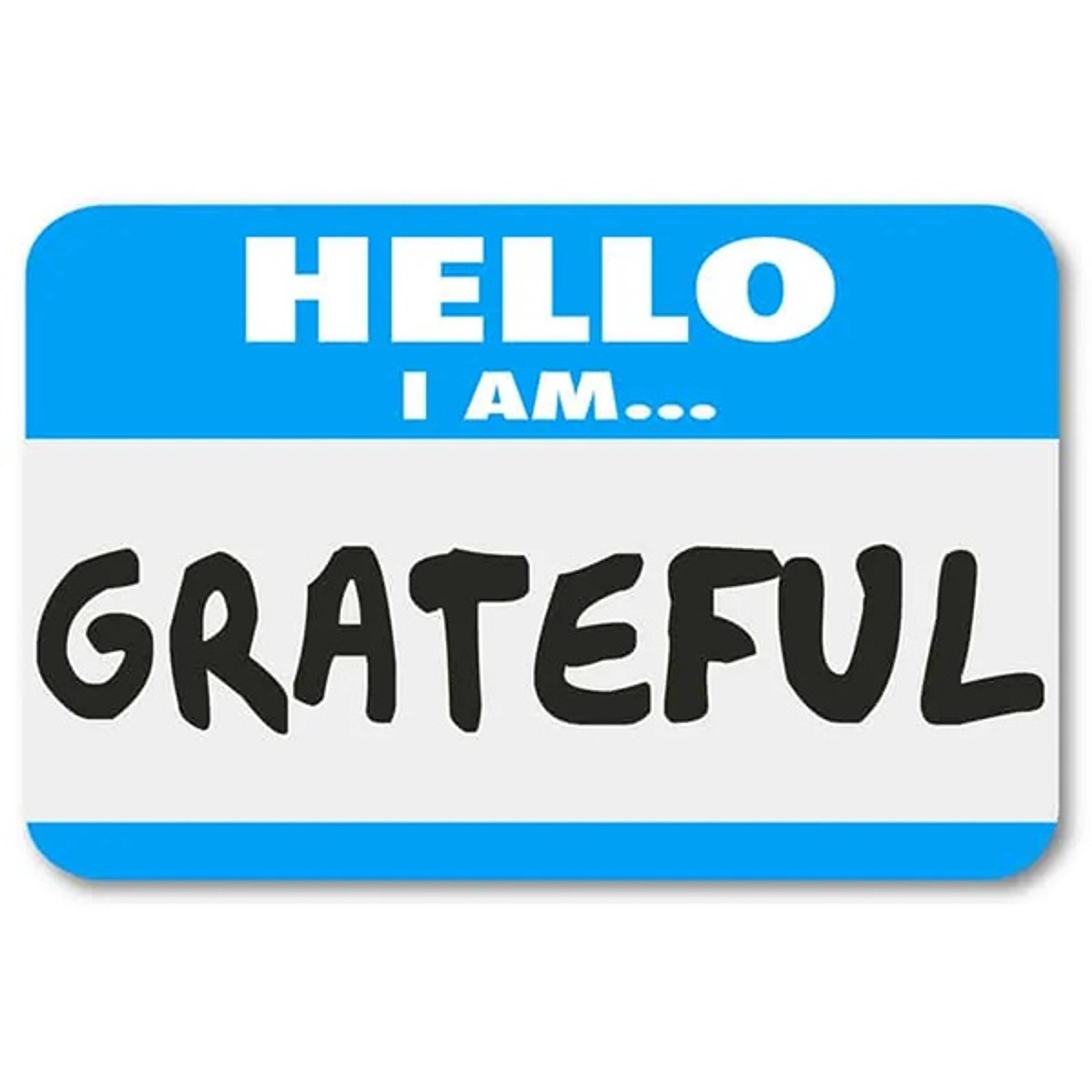Teaching Our Children Gratitude – 14 Tips To Help Children Be Grateful – Ep 80 episode artwork