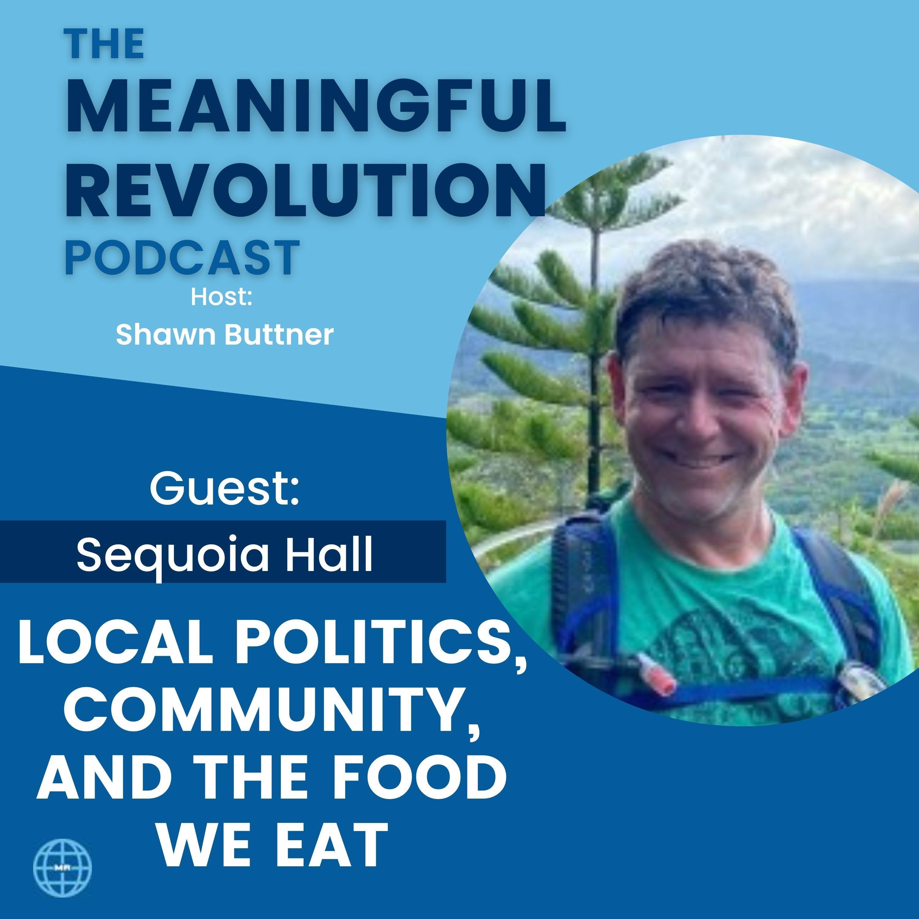 The Art In Politics Is People Getting Along with Sequoia Hall episode artwork