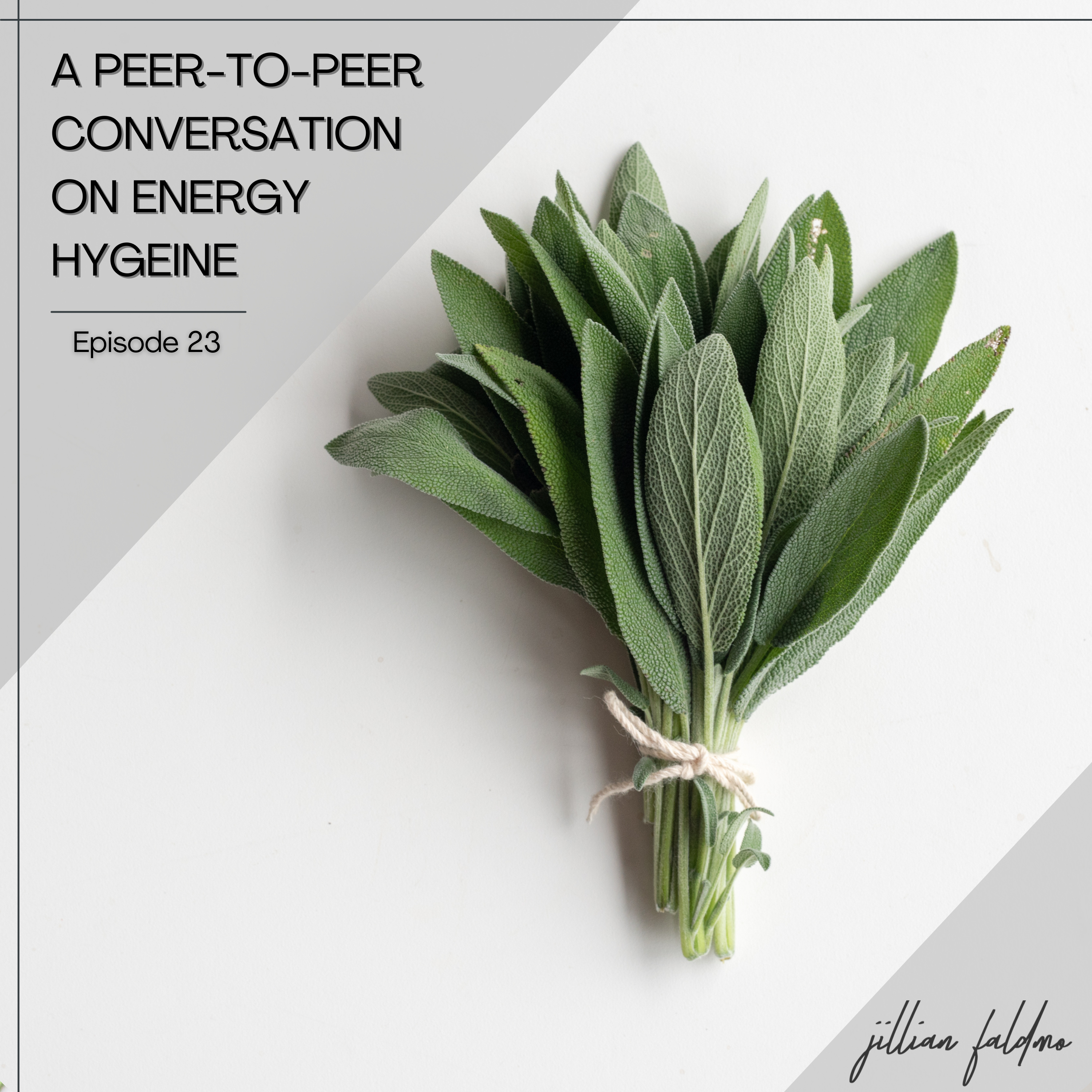 23. A Peer-to-Peer Conversation on Energy Hygeine episode artwork