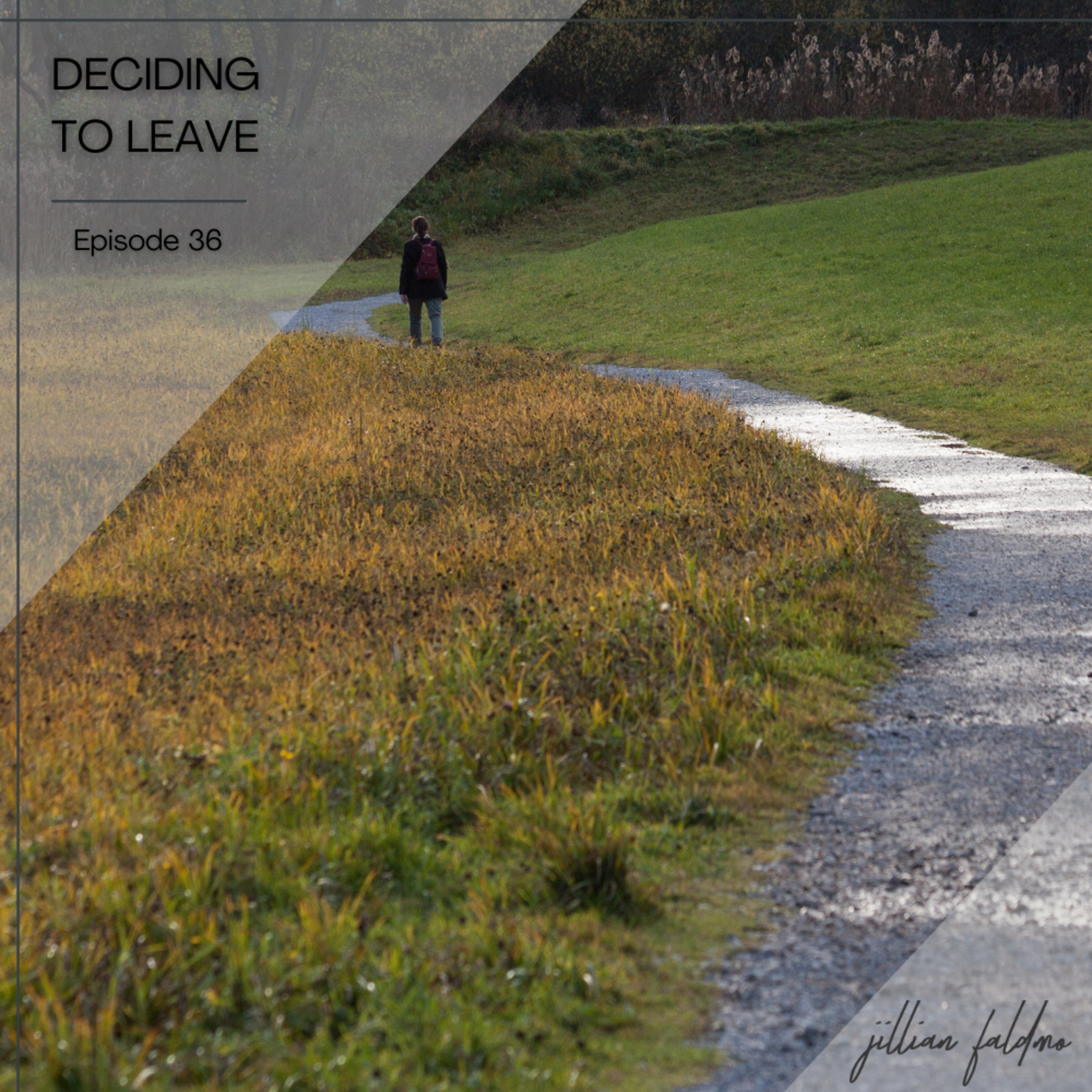 36. Deciding to Leave episode artwork