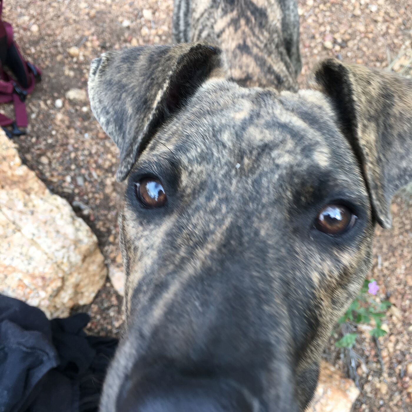 Adventures in Sustainable Living