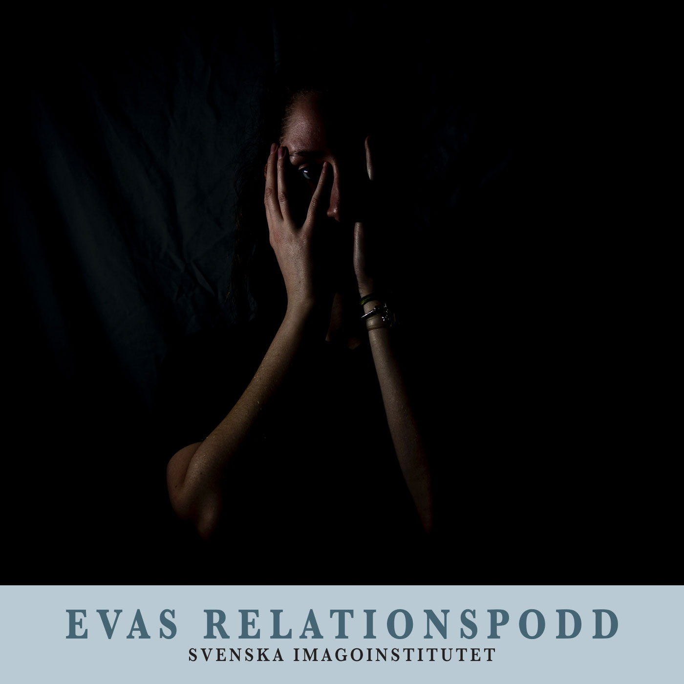 En tredje väg – bort från våld i nära relationer episode artwork