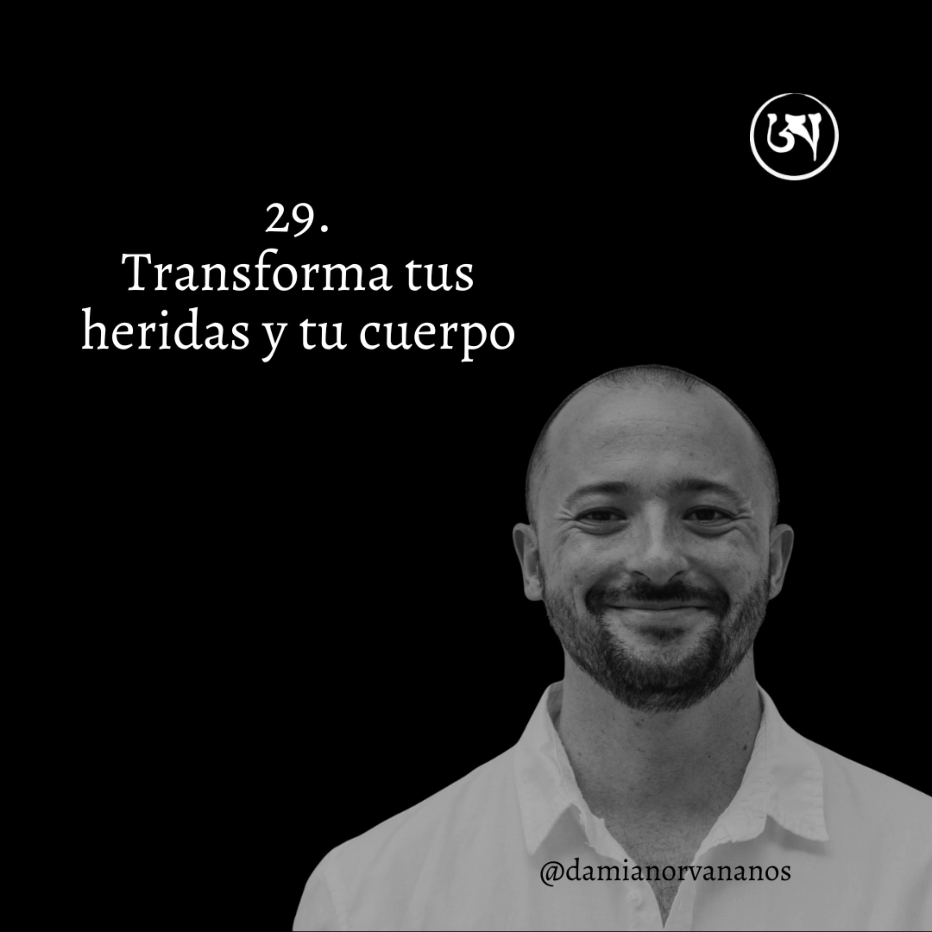 29. ¿Cómo sanar mis heridas emocionales?