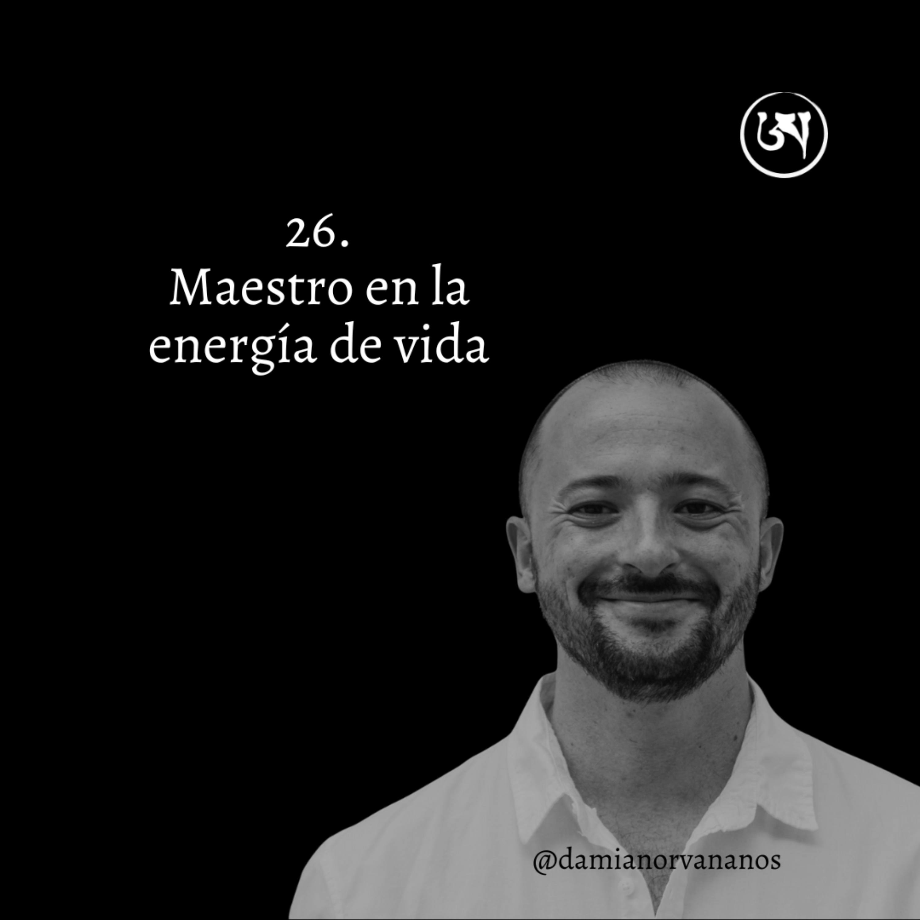 26. ¿Qué es el Qigong / Chi Kung?