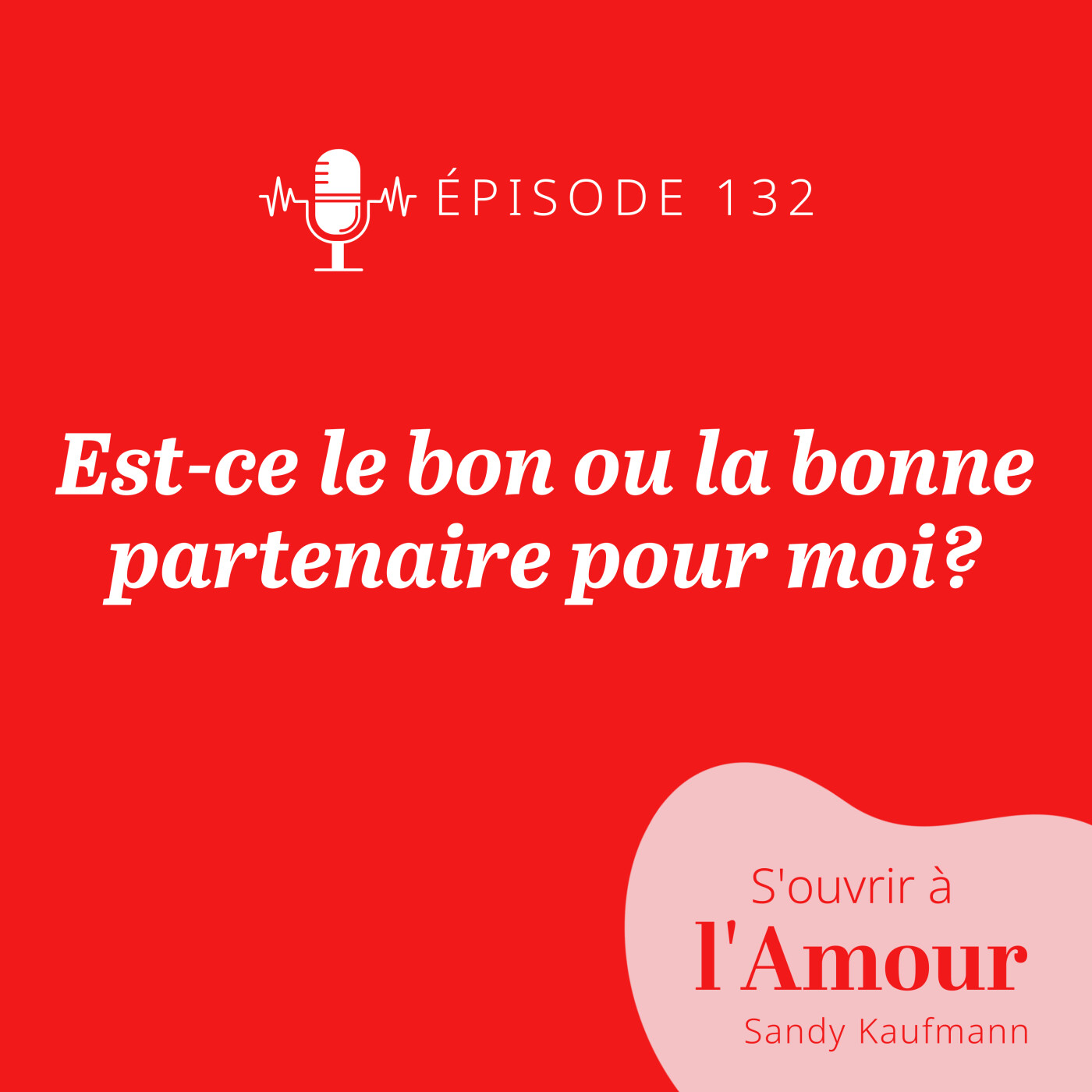 132. Est-ce le bon ou la bonne partenaire pour moi?