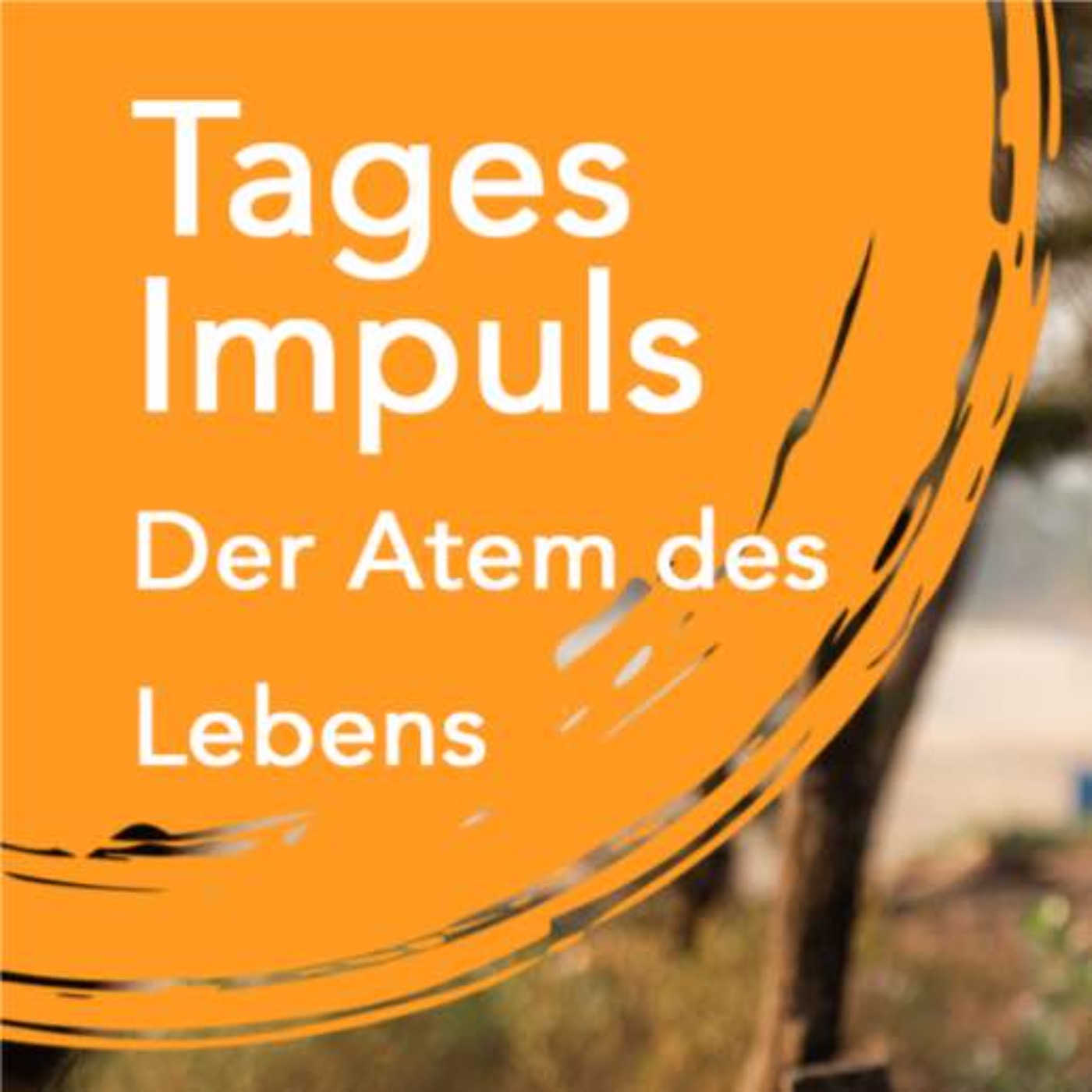 Tagesimpuls | Breath of Life episode artwork
