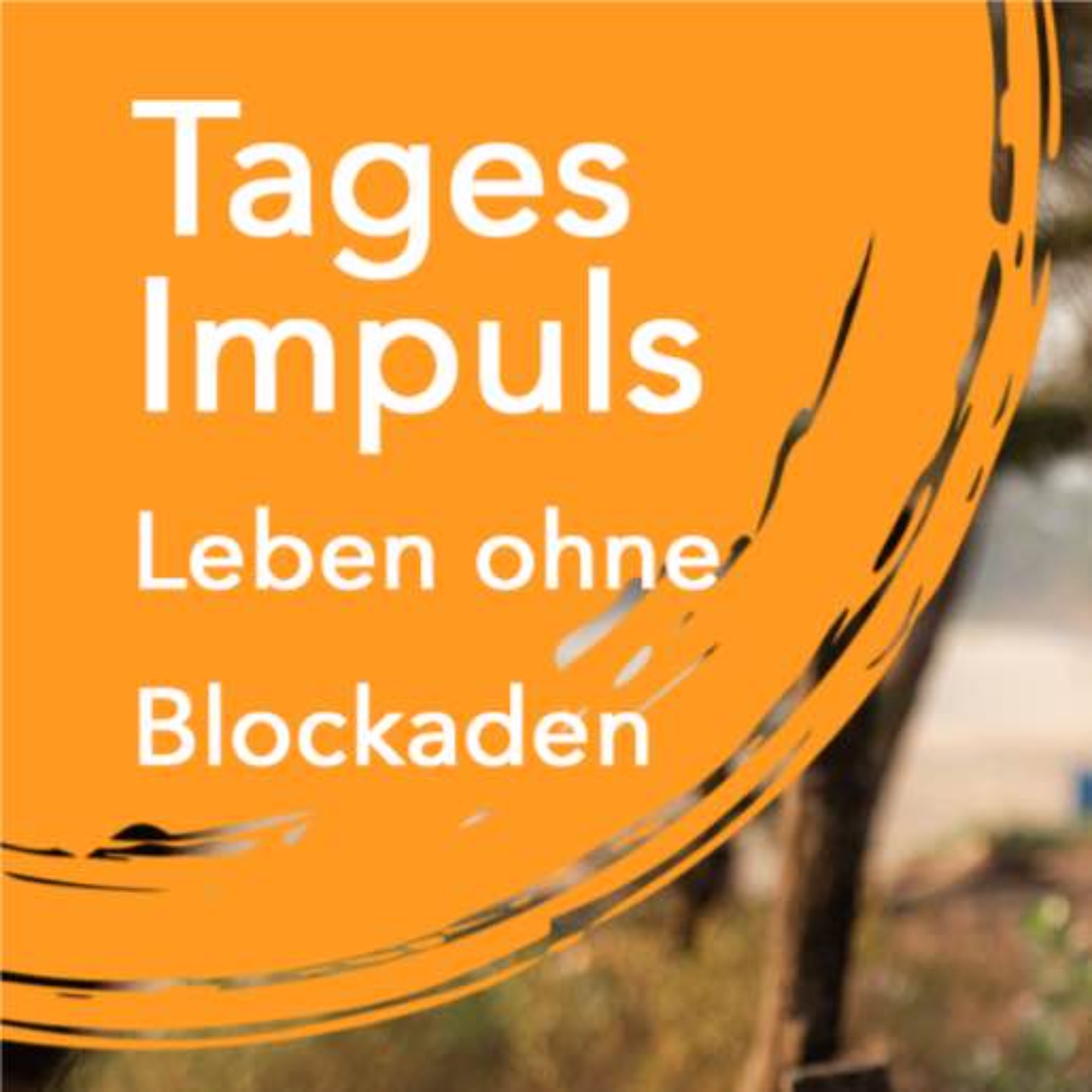 Tagesimpuls | Leben ohne Blockaden episode artwork