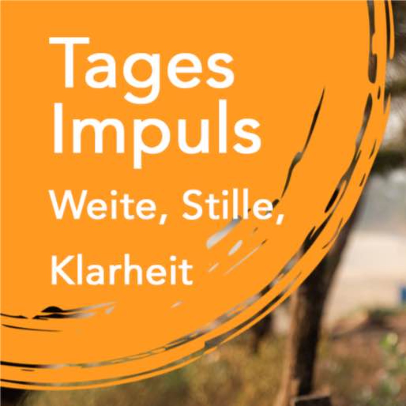 Tagesimpuls | Weite, Stille, Klarheit episode artwork
