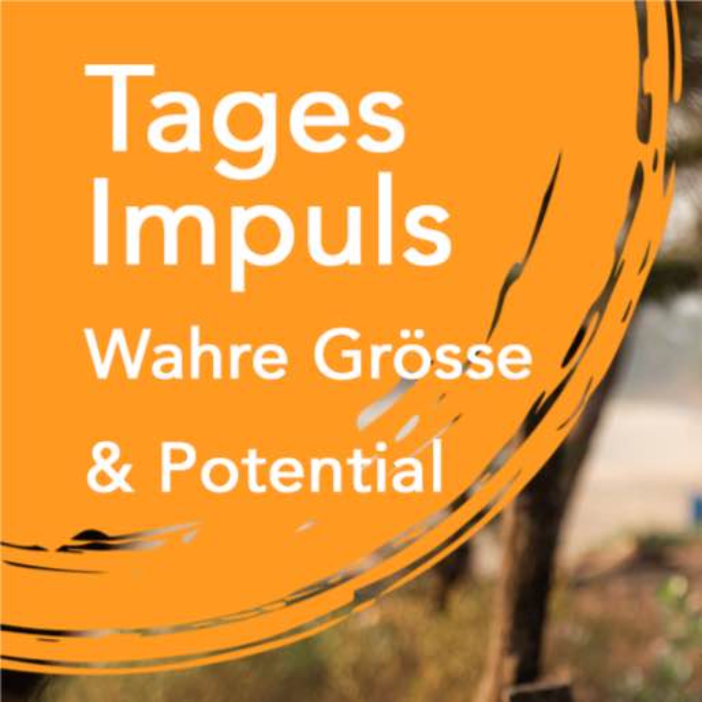 Tagesimpuls | Wahre Grösse & Potential episode artwork