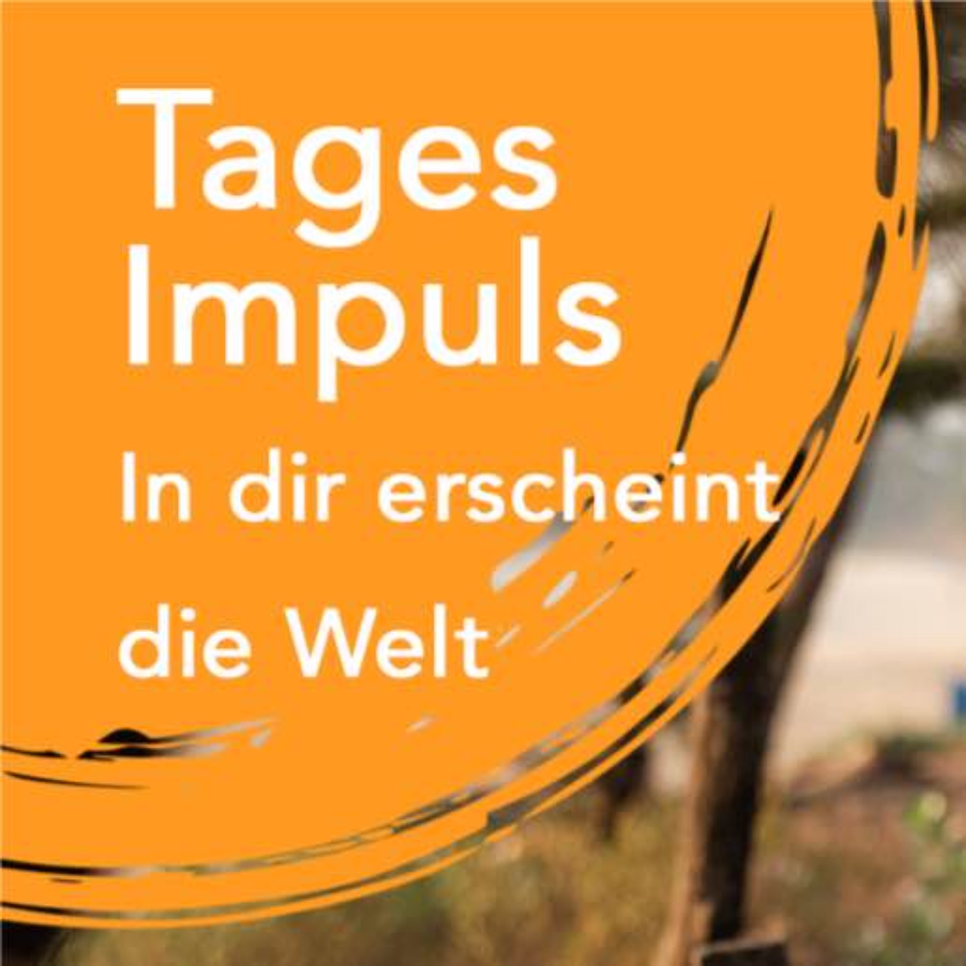 Tagesimpuls | Die Welt erscheint in dir episode artwork