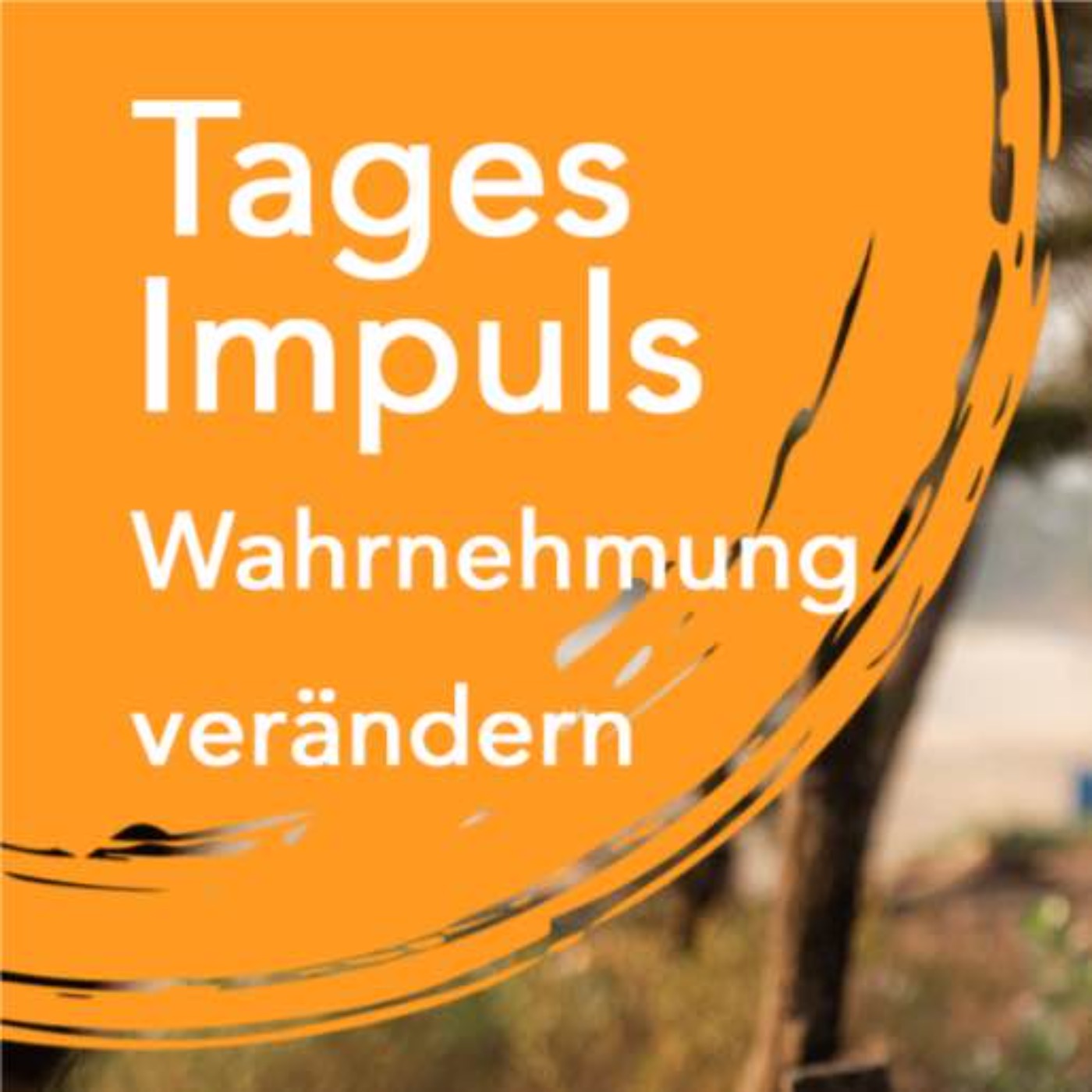 Tagesimpuls | Satsang für eine neue Wahrnehmung episode artwork