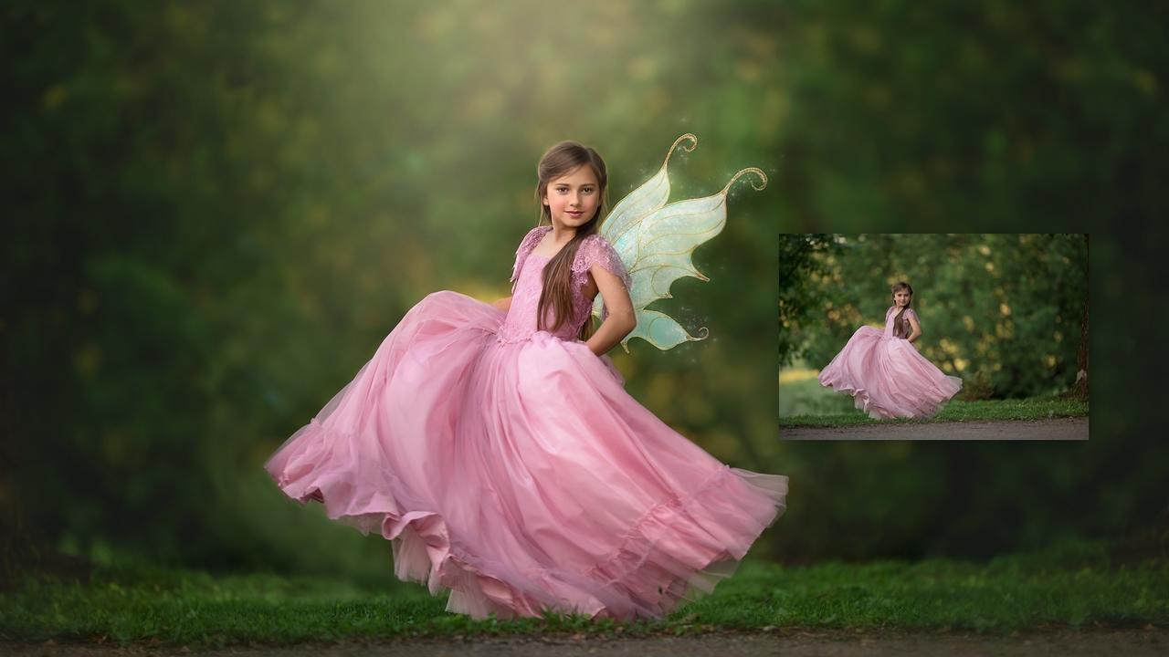 Ever After Fairies - Fairy Wing Overlay Collection