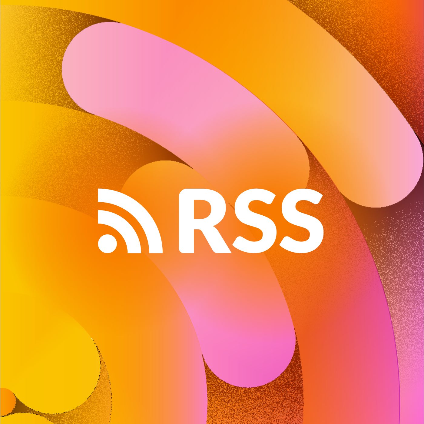 Cash Flow Capitalist