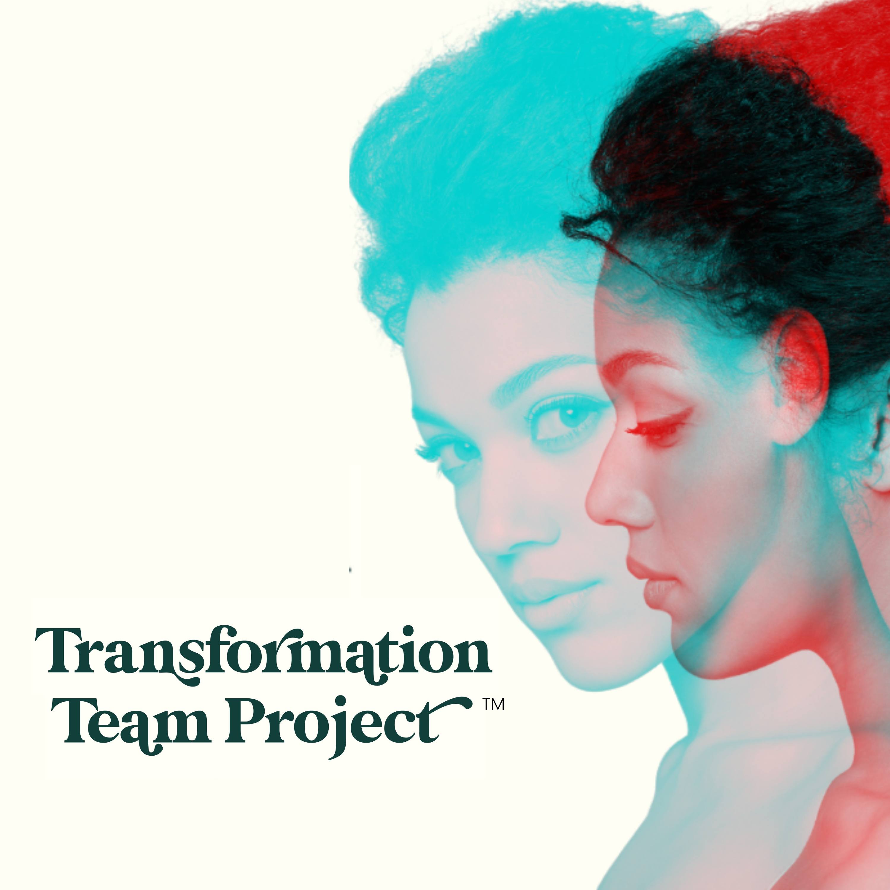 Transformation Team Project Before & After