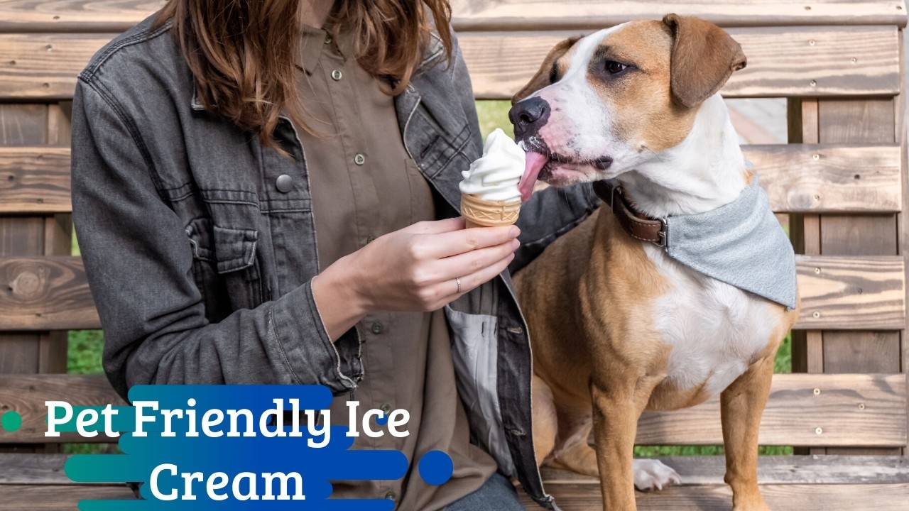 PetFriendly Ice Cream