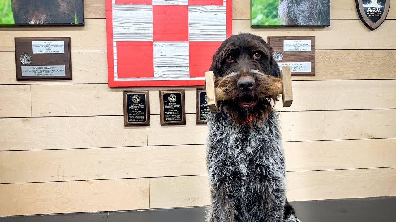 The Reliable Retrieve Course