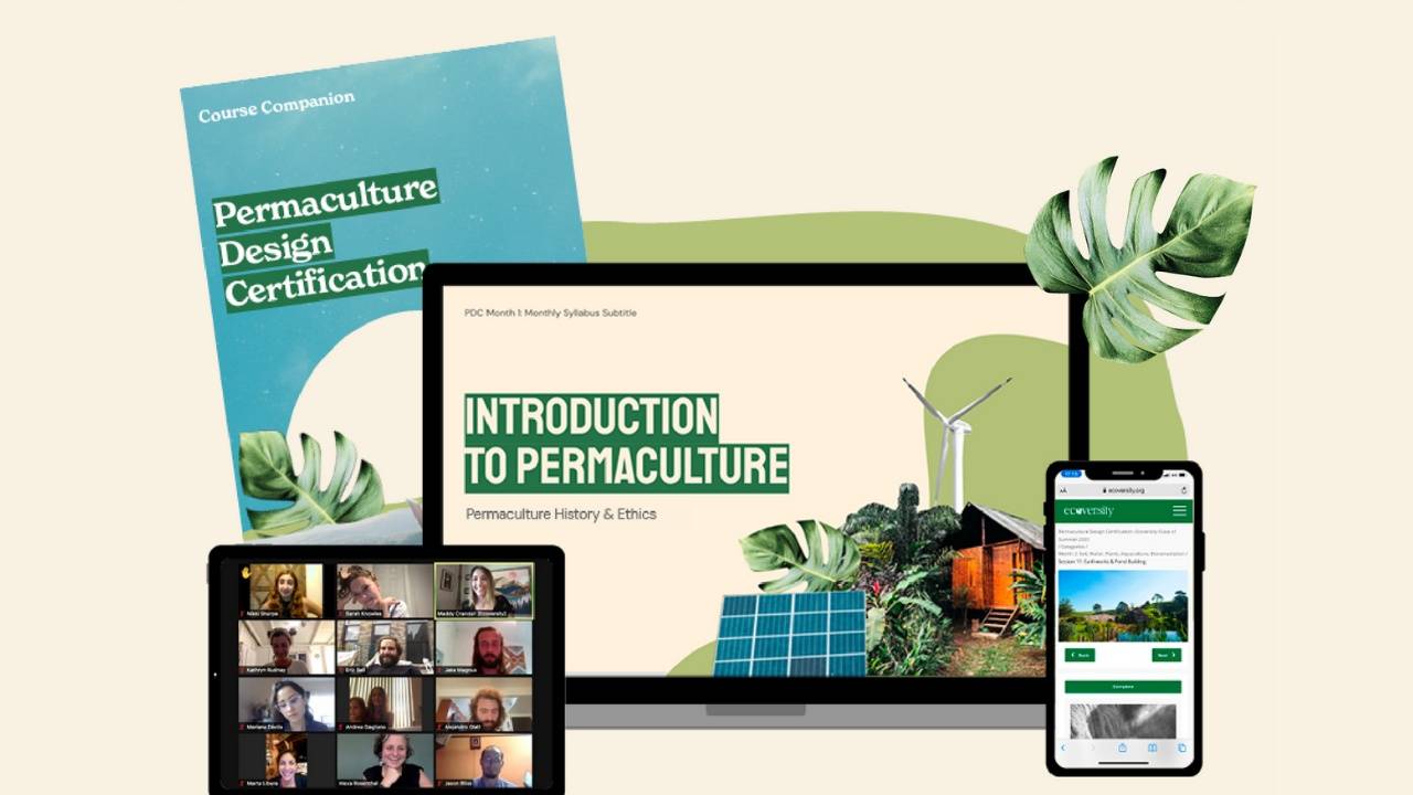 Ecoversity: 6-Month Online Permaculture Design Cert.