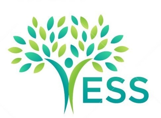 Header Logo