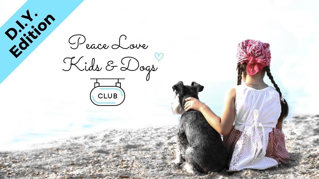 Home | Dog Training for the Whole Family