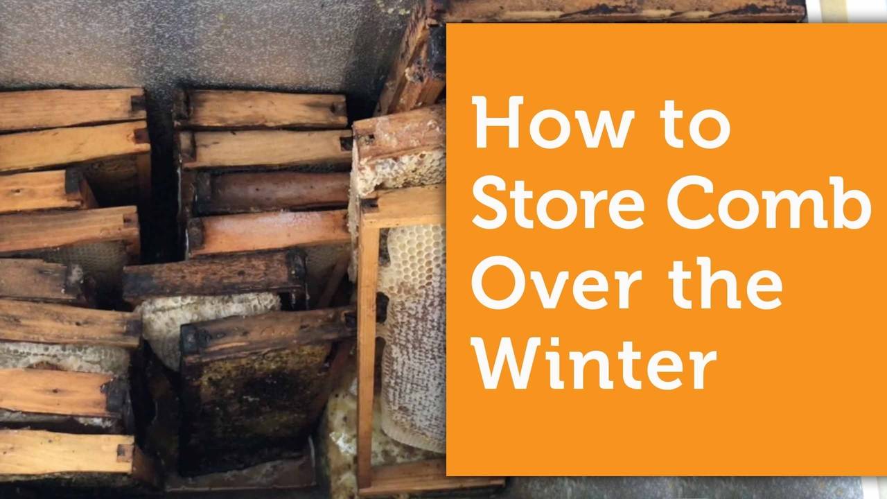 4 Ways to Store Frames of Drawn Out Comb Over the Winter