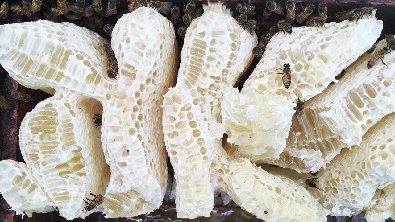 Big Mistake! How to Fix a Box of Cross Comb / Burr Comb