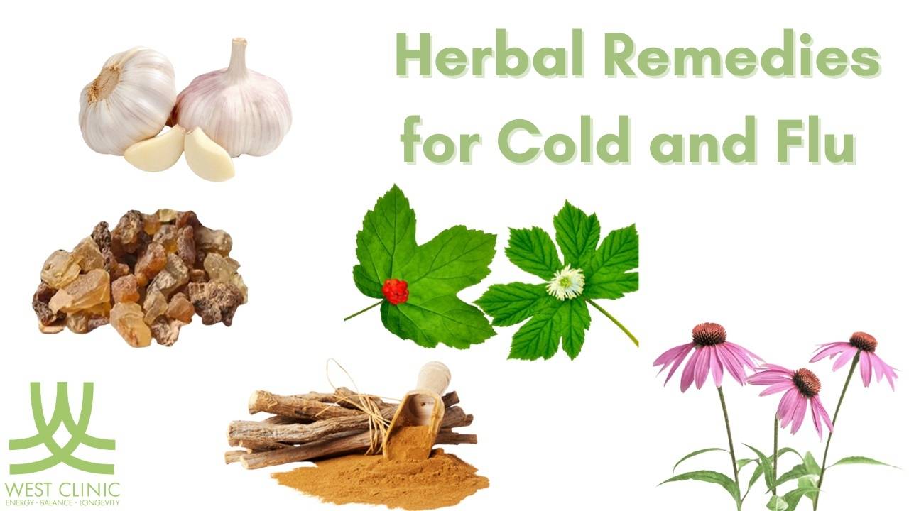 Natural Herbs for Cold and Flu Season