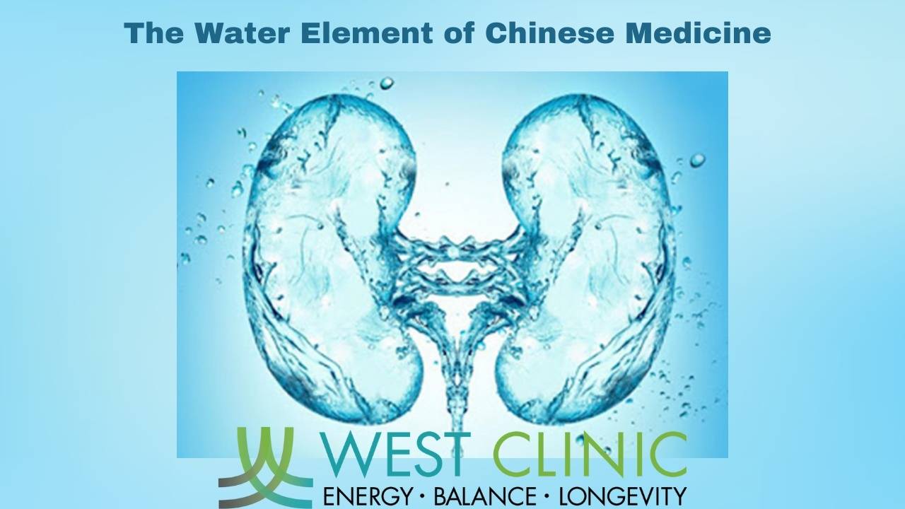 The Water Element of Chinese Medicine Kidneys