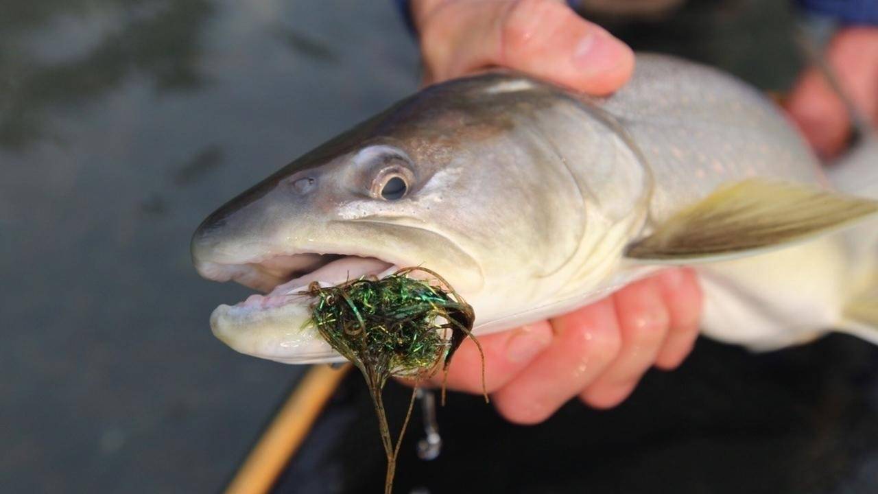 Hook Positioning on Articulated Streamer Patterns
