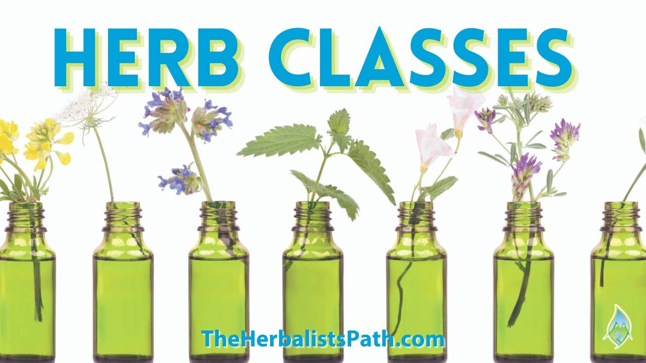 Discover How To Use Plants As Medicine Safely & Effectively