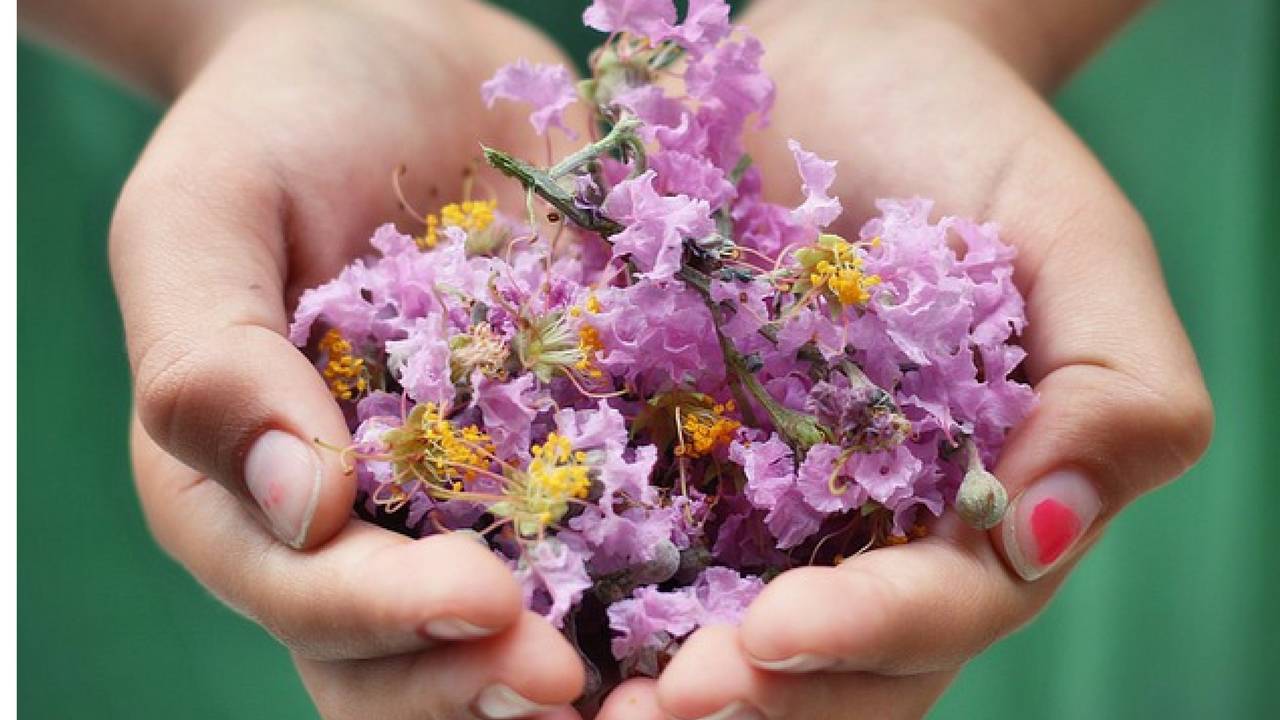 How to help anxious thinking with Flower Essence Therapy