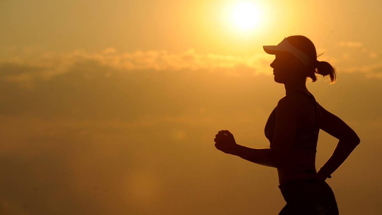 Webinar: Rider Fitness