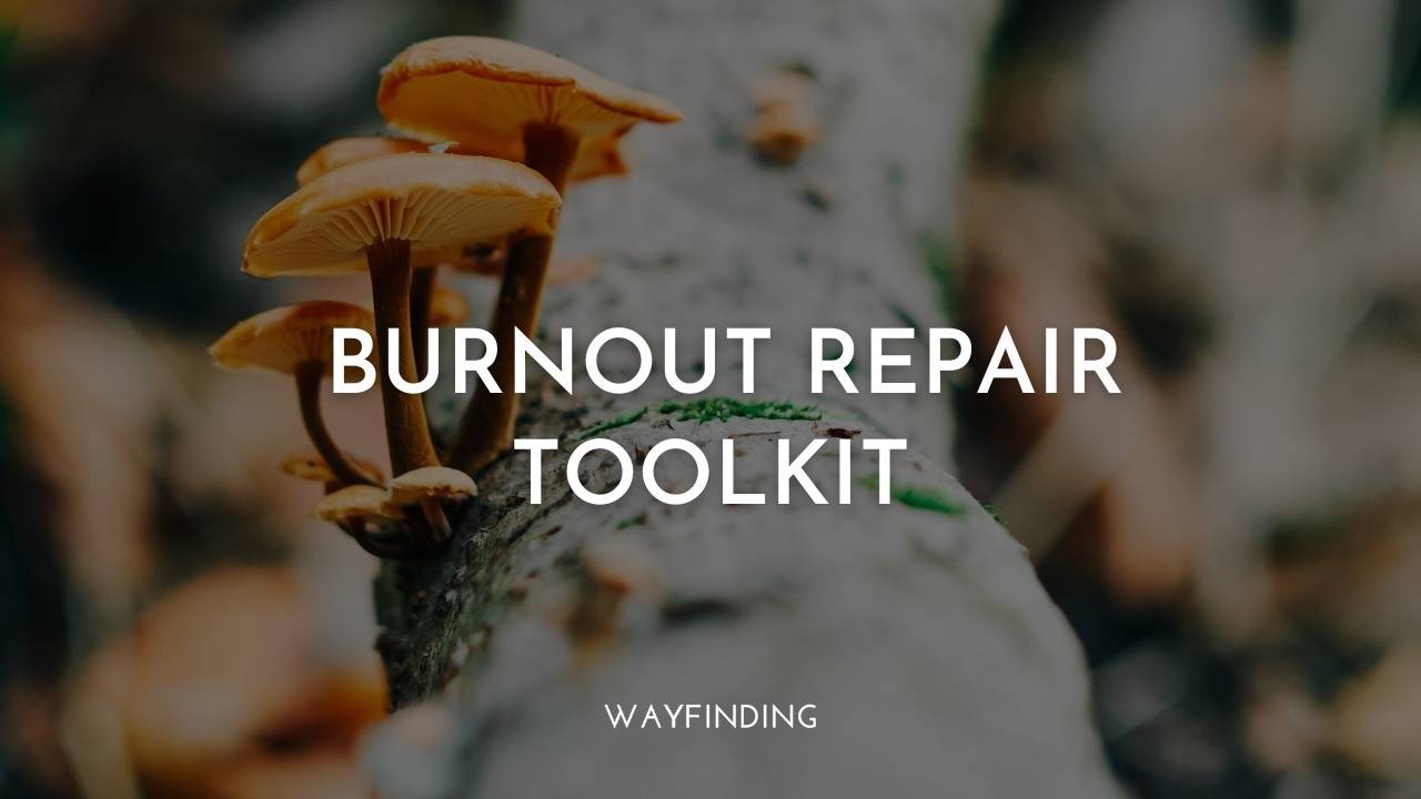 Burnout Repair Toolkit