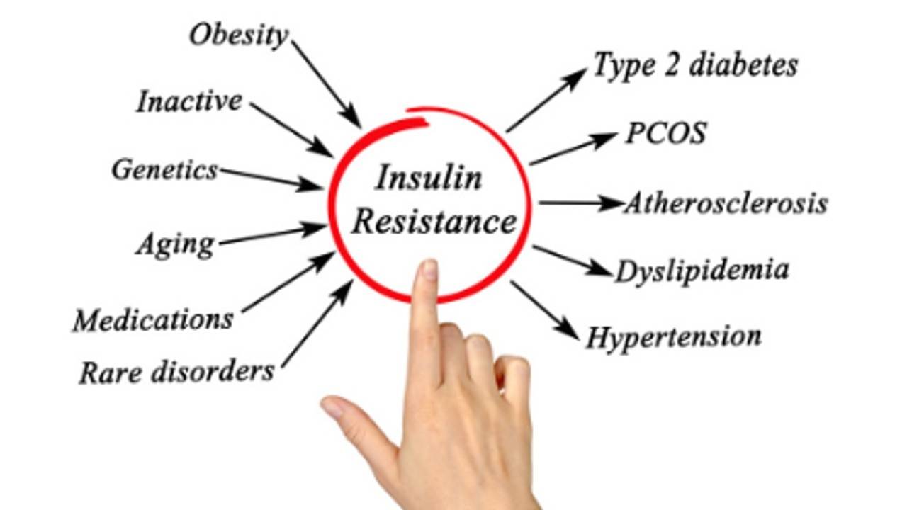 What is Insulin Resistance & How Does it Affect Our Health?