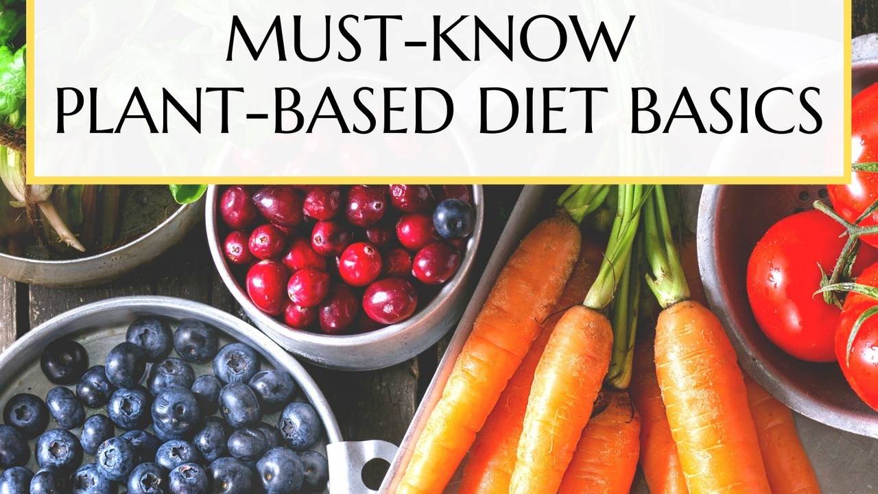 PlantNourished Beginner's Guide to MustKnow PlantBased Diet Basics
