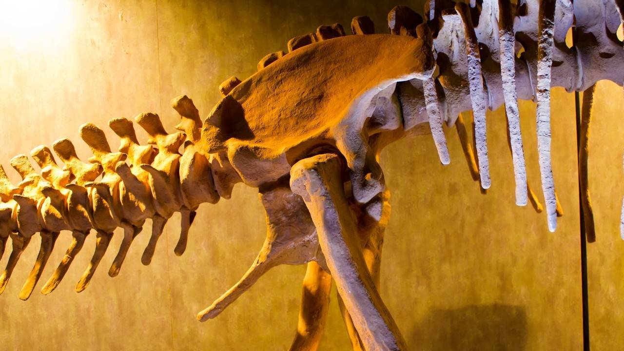 Good bones help a story stand up.