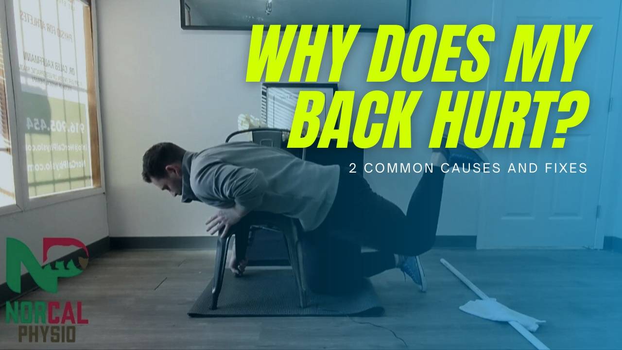Why Does My Back Hurt