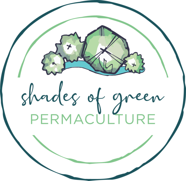Header Logo