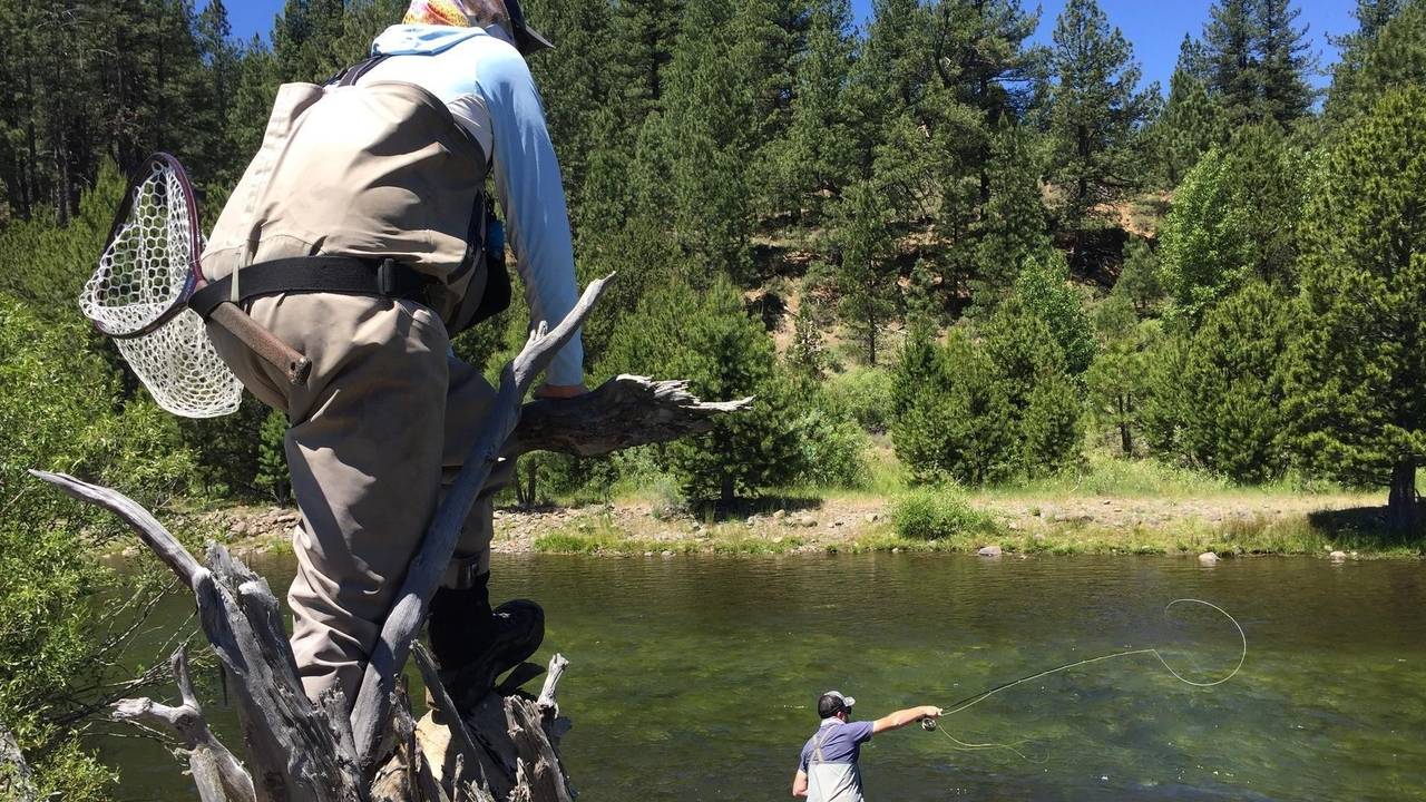 Online Fly Fishing Instruction Simplified Find Your Cast