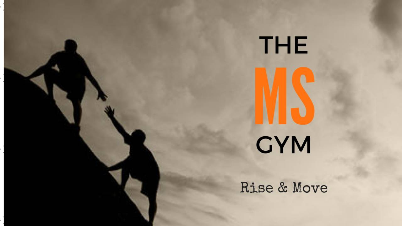 MS Gym FREE Exercise Guides & Programs