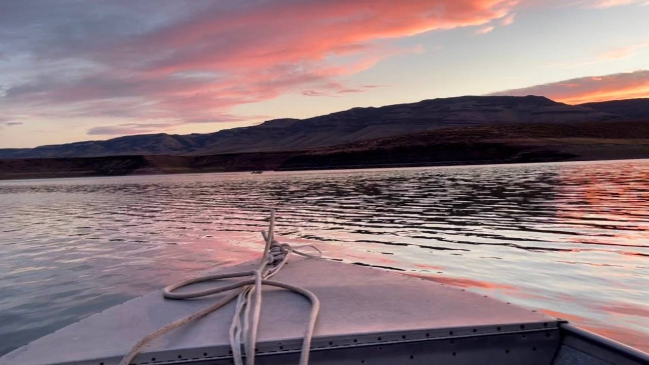 Field Notes from Jess ~ Rewilding in 2021