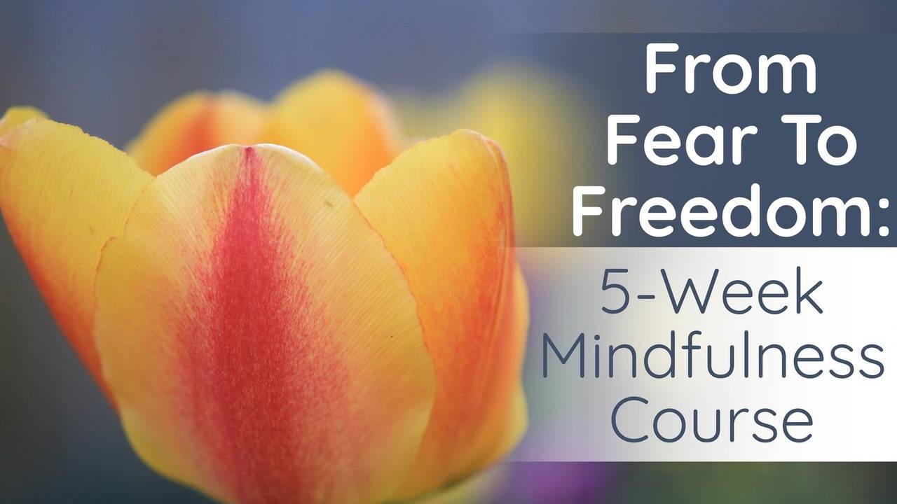 From Fear To Freedom Course Outline