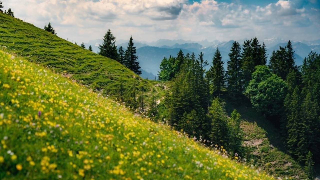 The Crossover Experience Excerpt