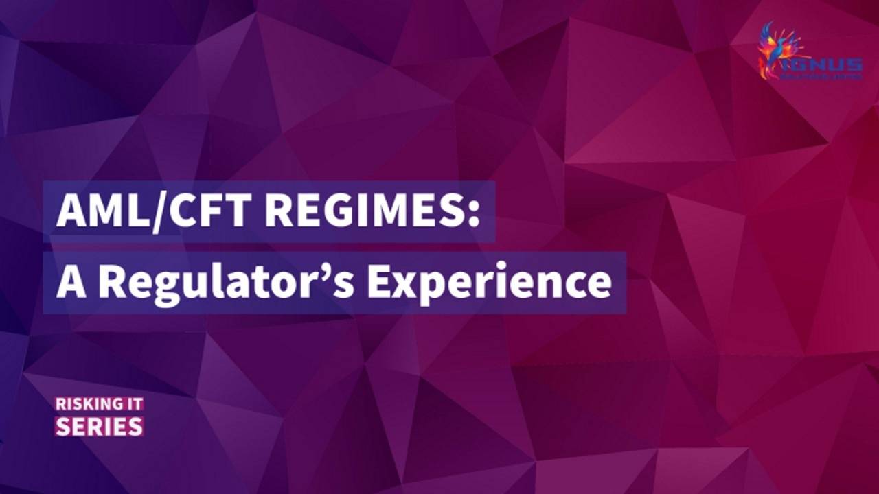 AML/CFT Regimes A Regulator's Experience