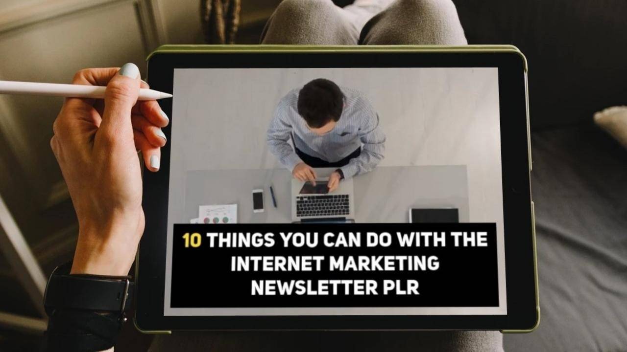 10 things you can do with the Internet Marketing Newsletter PLR