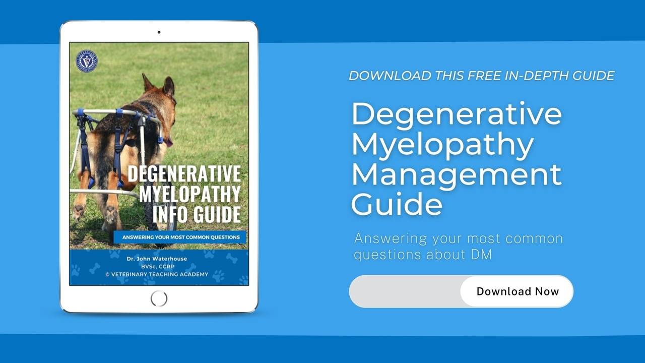 Degenerative Myelopathy Management Guide